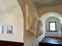 Gefilterte-Begegnung_Installation_2023_Foto_Ilona_Agnes_Tomo